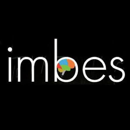 IMBES Board Member